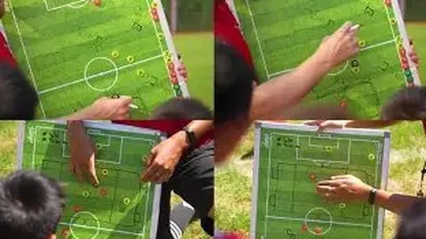 【限时免费】NBA焦点对决：猛龙激战老鹰，揭秘独家让分攻略！