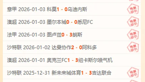 《粉丝独家揭秘：王者之巅，国王双雄背靠背奋战，体能极限挑战来袭！》