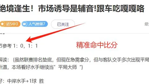 大乐透期号专家质合分析推荐：前区十码精准预测